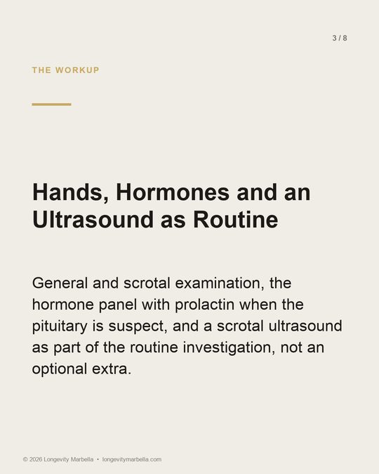 Slide 3 of 8