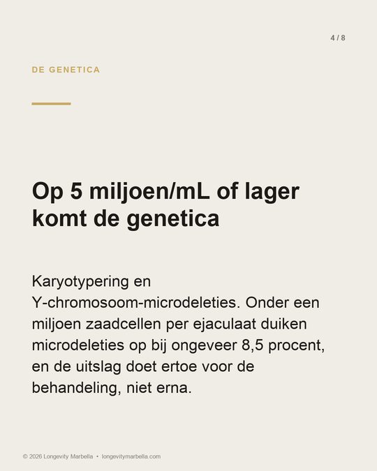 Slide 4 van 8