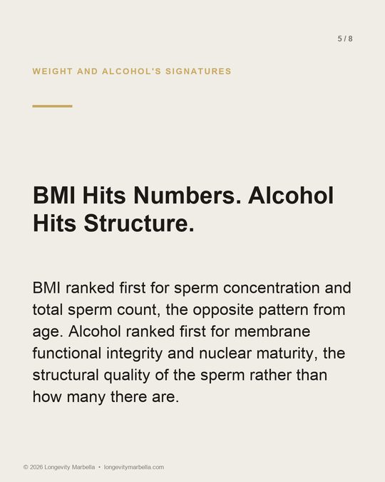 Slide 5 of 8