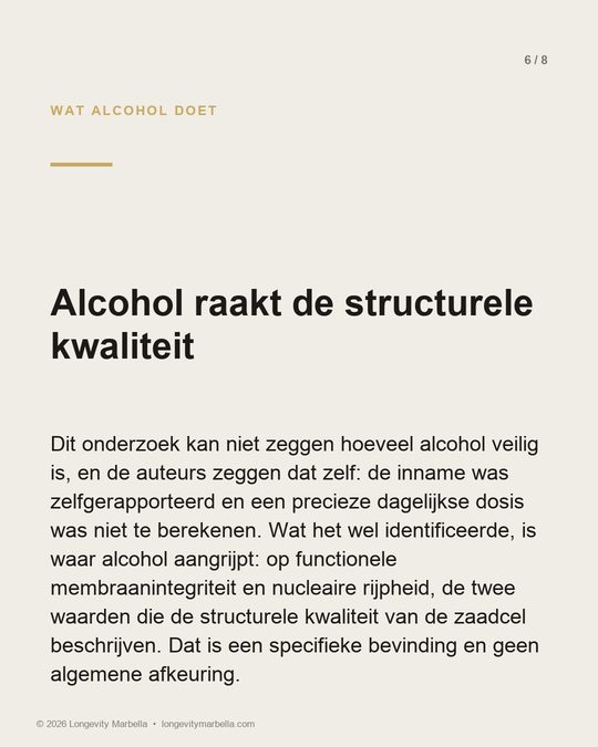 Slide 6 of 8