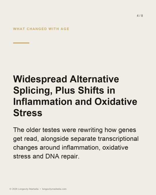 Slide 4 of 8