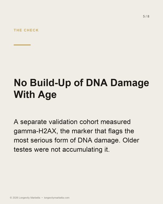 Slide 5 of 8