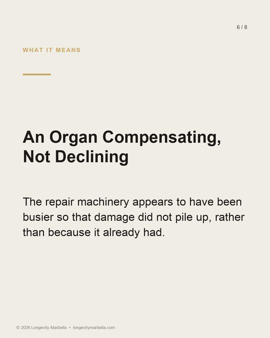 Slide 6 of 8