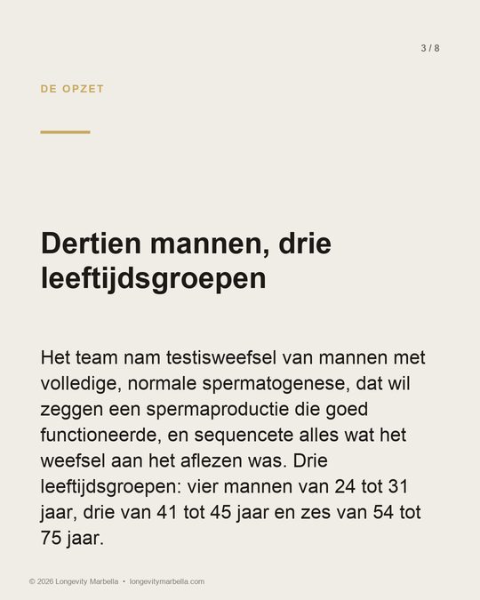 Slide 3 of 8