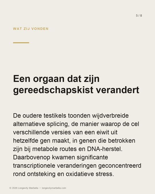 Slide 5 of 8