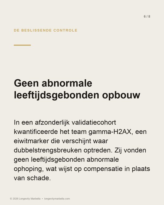 Slide 6 of 8
