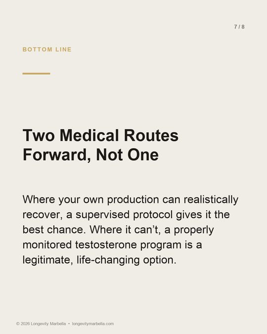 Slide 7 of 8