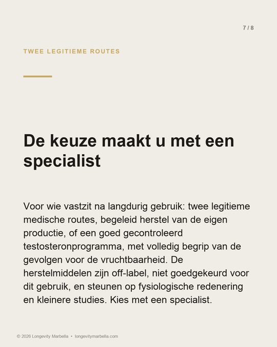 Slide 7 of 8