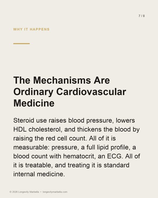 Slide 7 of 8