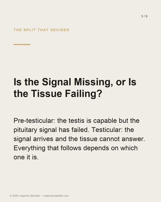 Slide 3 of 8