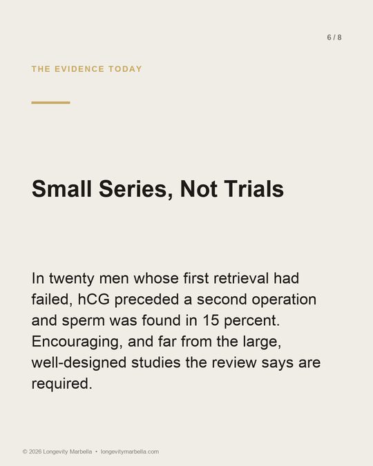 Slide 6 of 8