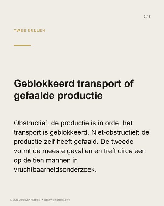 Slide 2 van 8