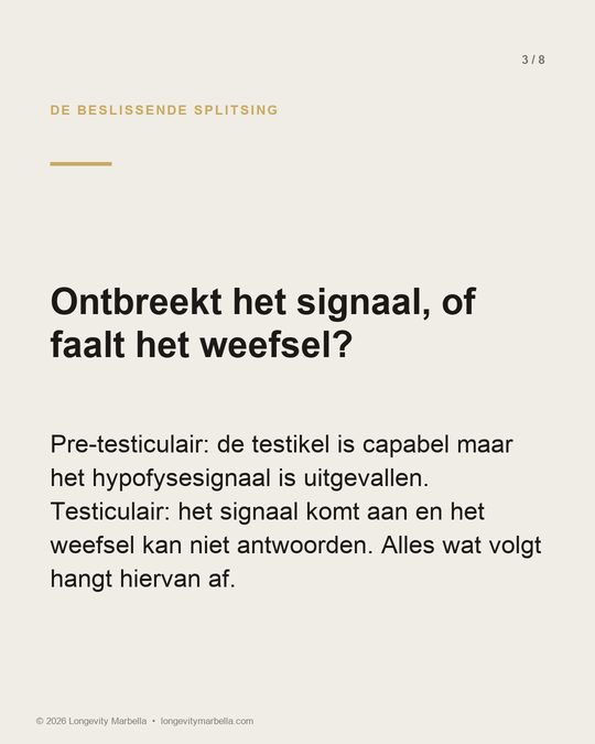 Slide 3 van 8
