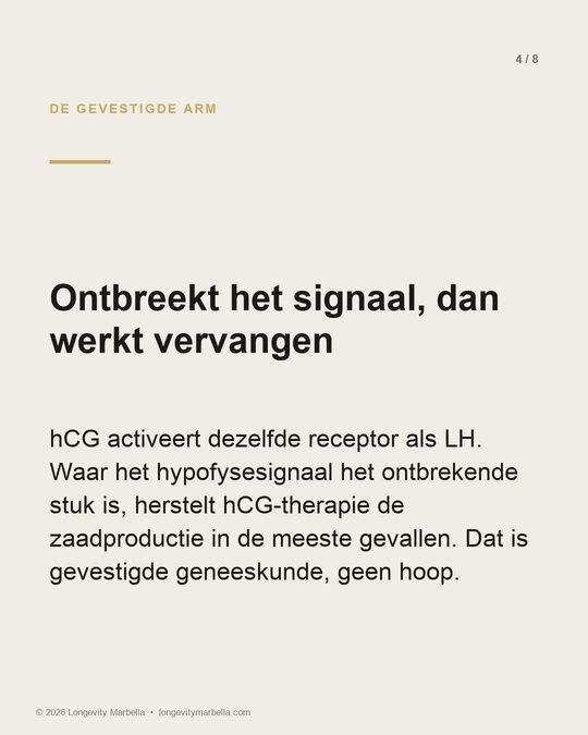 Slide 4 van 8