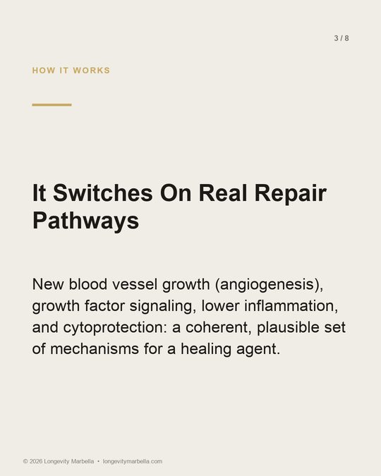 Slide 3 of 8