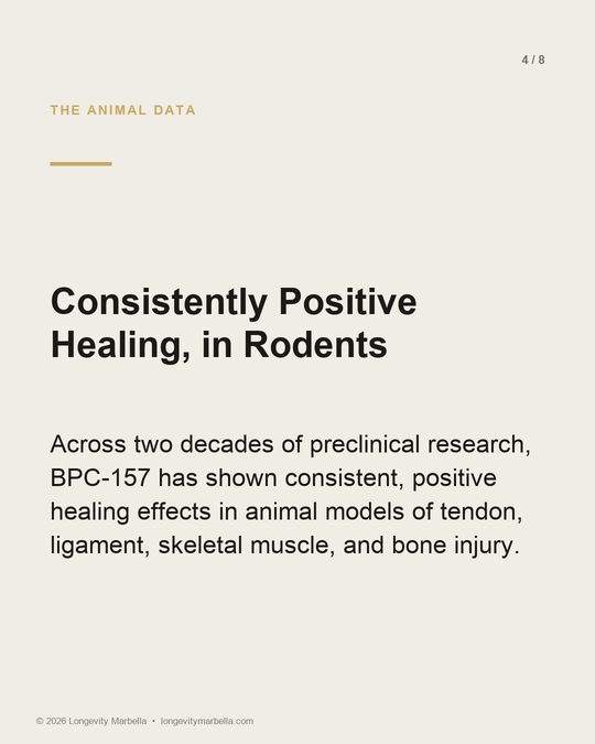 Slide 4 of 8