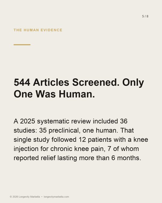 Slide 5 of 8