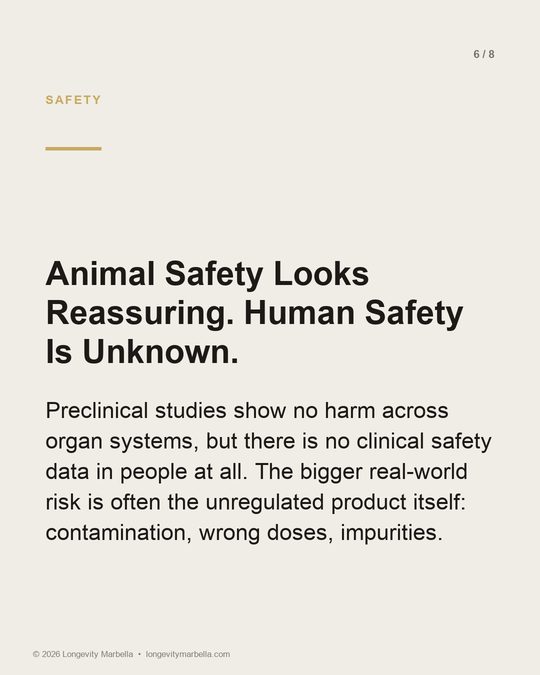 Slide 6 of 8