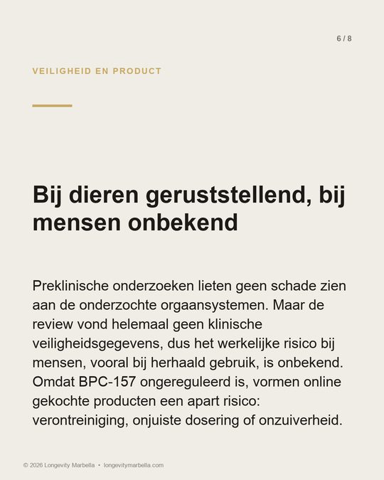 Slide 6 of 8