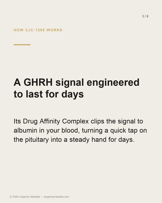 Slide 3 of 8
