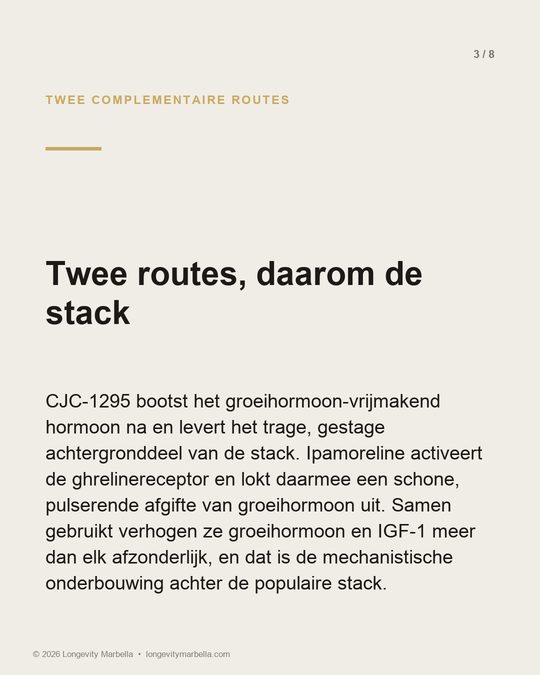 Slide 3 of 8