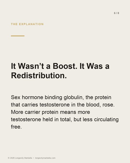 Slide 6 of 8