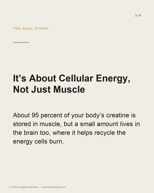 Slide 3 of 8