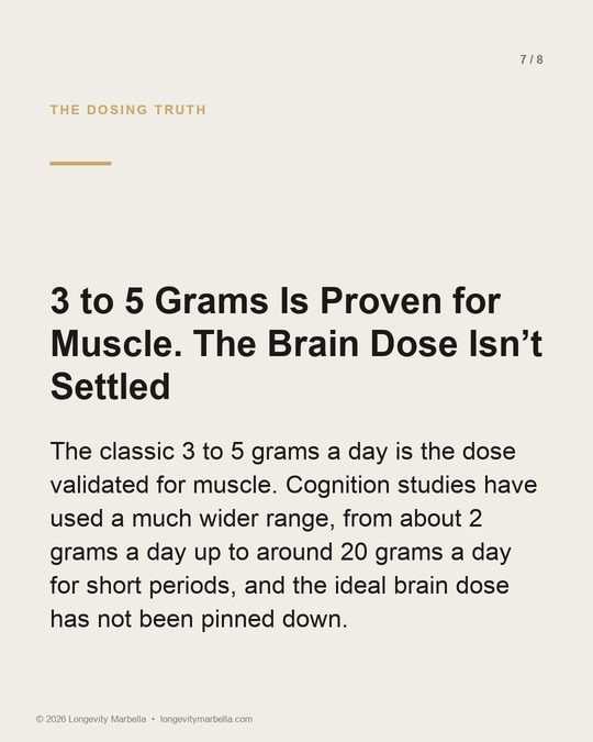 Slide 7 of 8