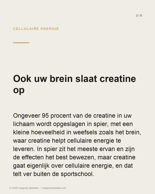 Slide 3 of 8