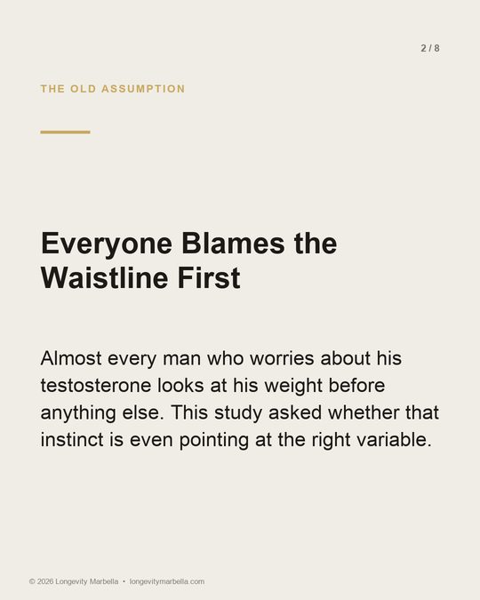 Slide 2 of 8