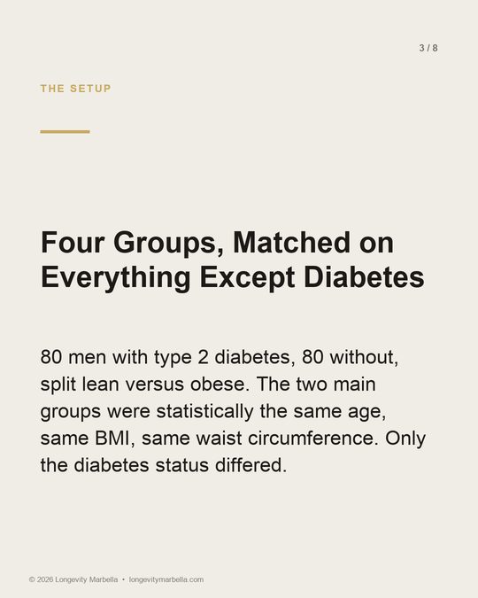 Slide 3 of 8