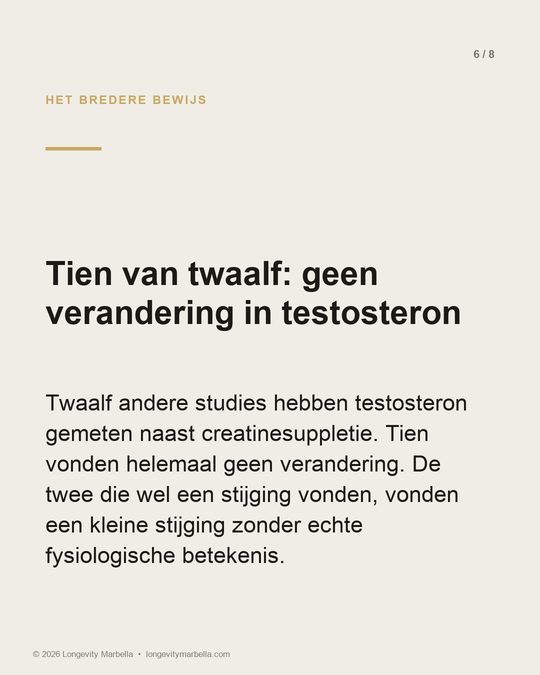 Slide 6 of 8