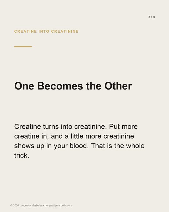 Slide 3 of 8