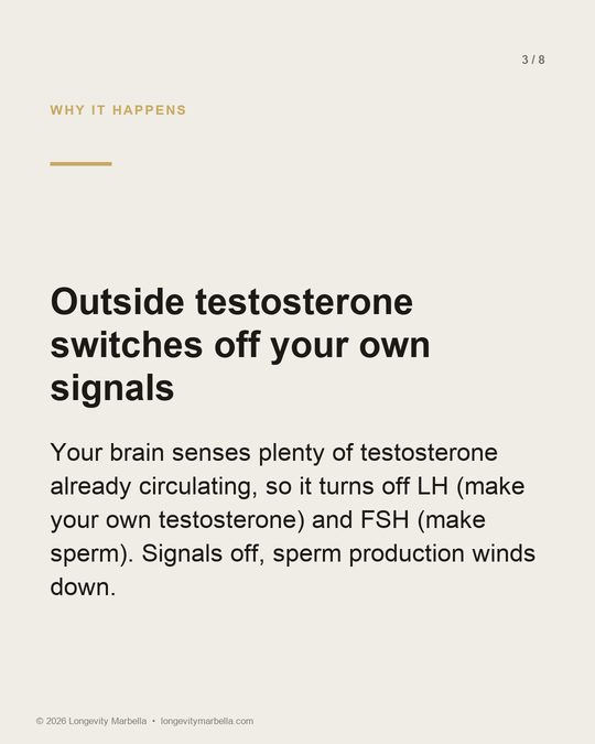 Slide 3 of 8