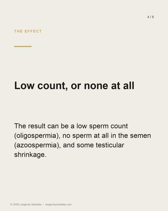 Slide 4 of 8