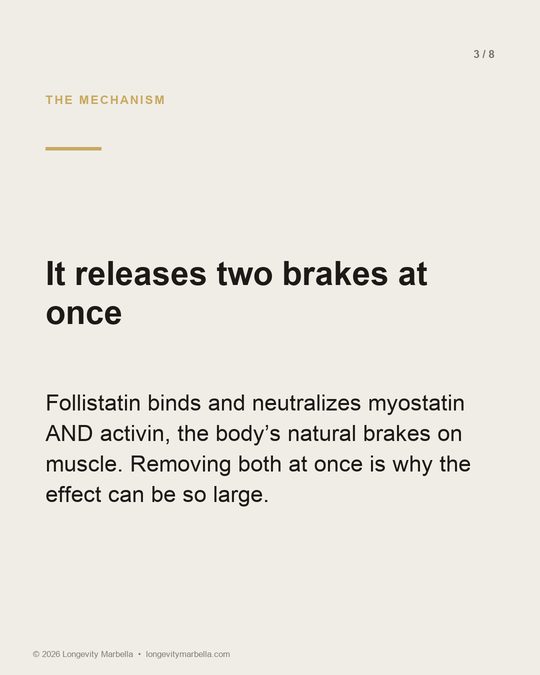Slide 3 of 8