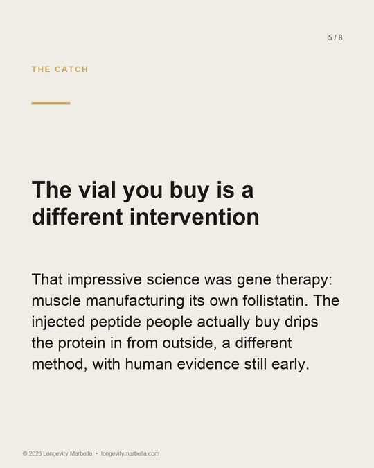 Slide 5 of 8