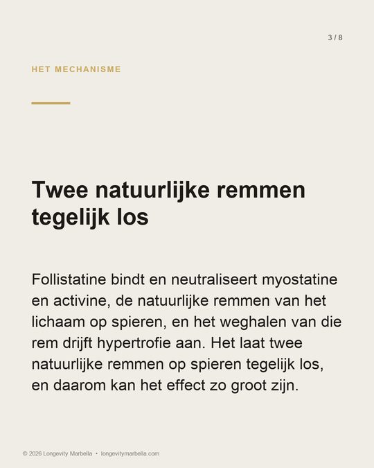 Slide 3 of 8