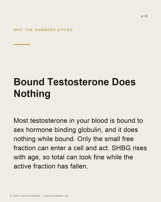 Slide 4 of 8