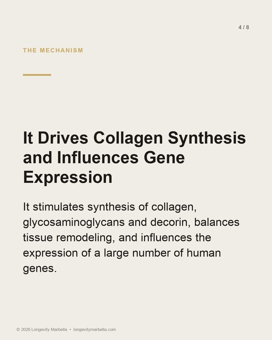 Slide 4 of 8