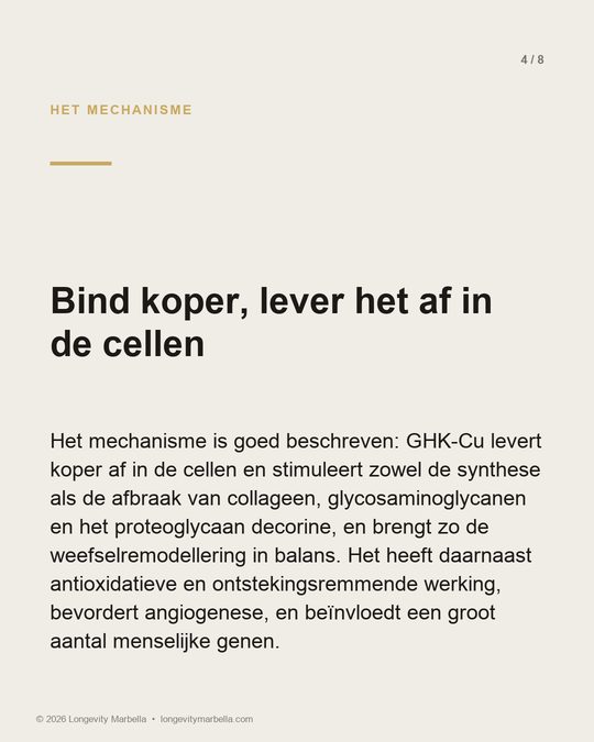 Slide 4 of 8