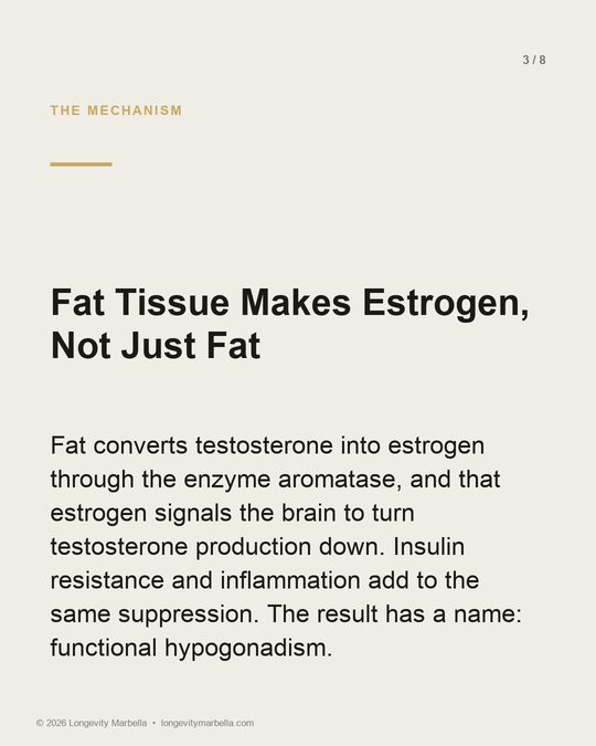 Slide 3 of 8