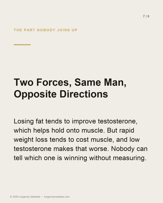 Slide 7 of 8