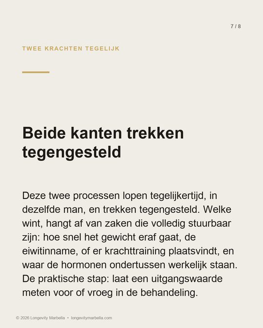 Slide 7 of 8