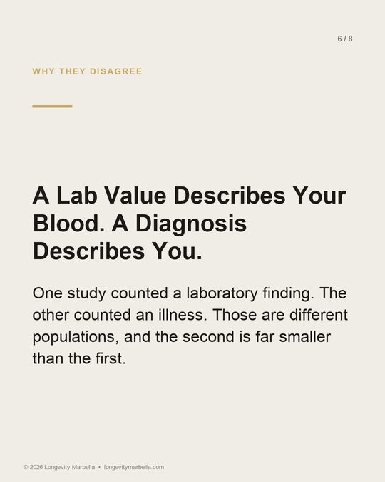Slide 6 of 8