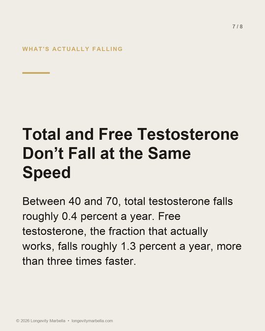 Slide 7 of 8