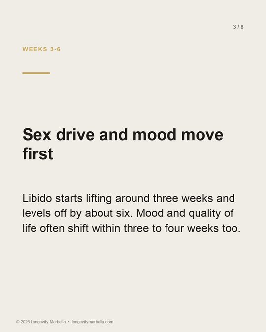 Slide 3 of 8