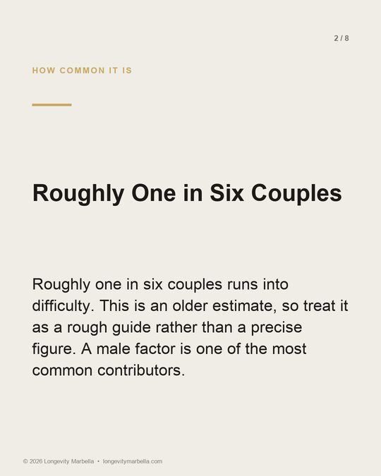 Slide 2 of 8