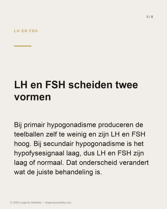 Slide 5 of 8