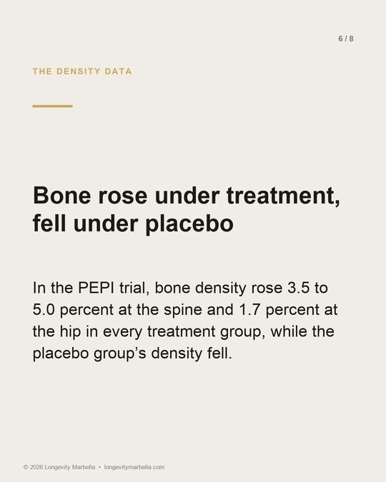Slide 6 of 8